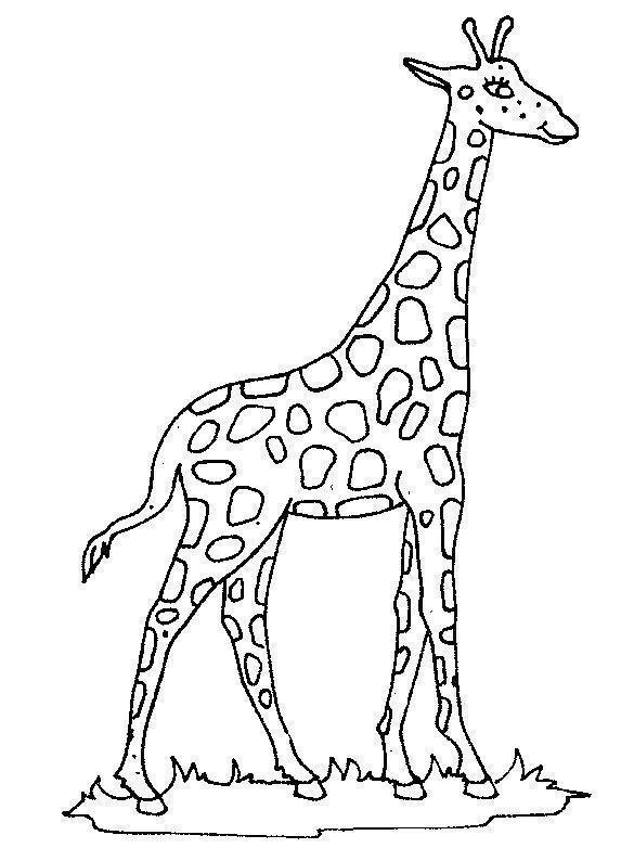 Desenho para colorir