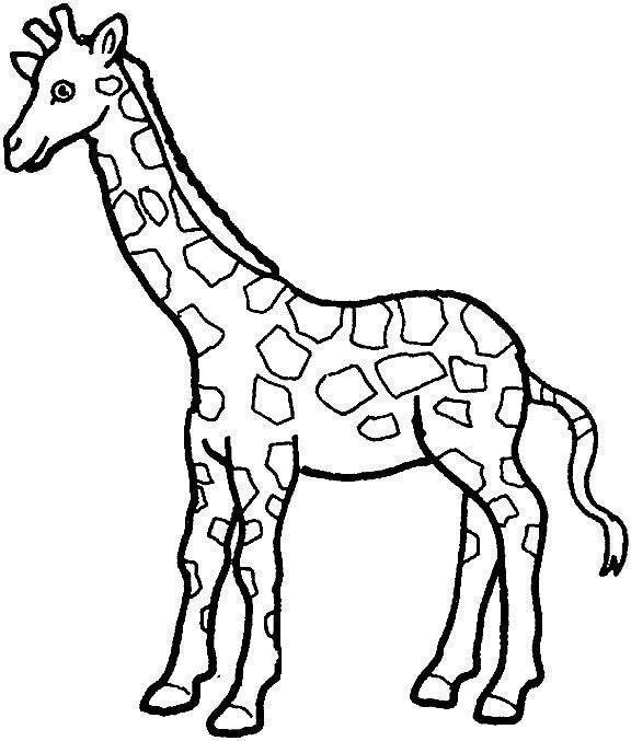 Desenho para colorir