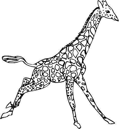 Desenho para colorir