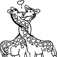 Desenhos para colorir Girafas