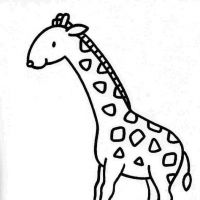 Desenhos para colorir Girafas