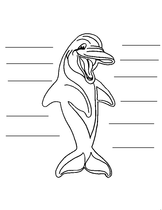 Desenho para colorir