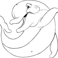 Desenhos para colorir Golfinhos