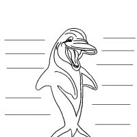 Desenhos para colorir Golfinhos