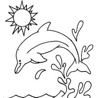 Desenhos para colorir Golfinhos