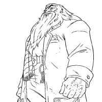 Desenhos para colorir Harry Potter