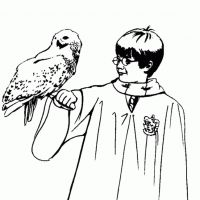 Desenhos para colorir Harry Potter