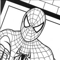 Desenhos para colorir Homem-Aranha