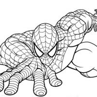 Desenhos para colorir Homem-Aranha
