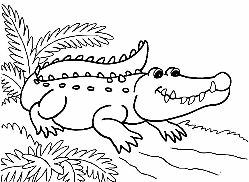 Desenho para colorir