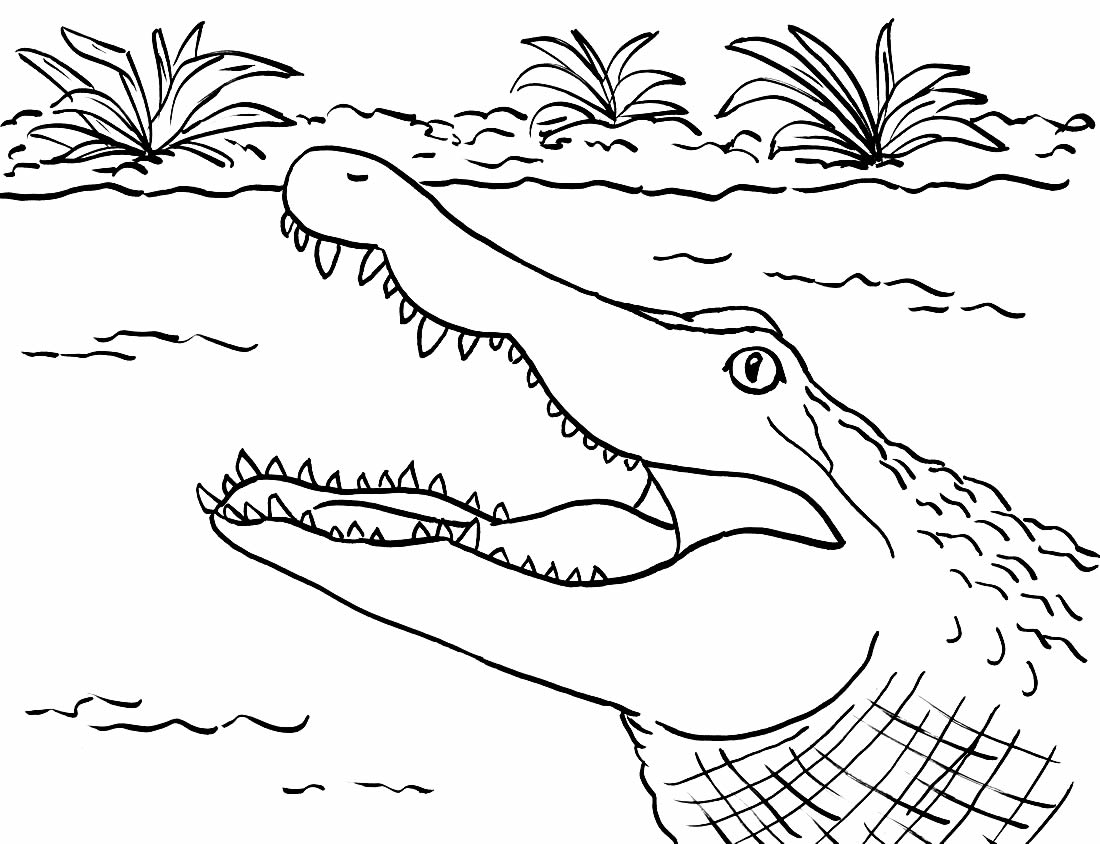Desenho para colorir