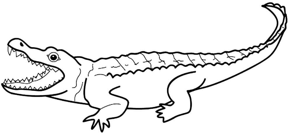 Desenho para imprimir