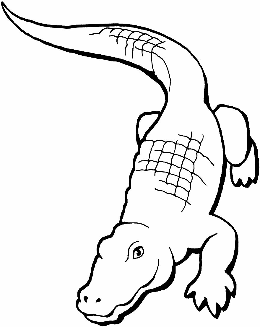 Desenho para colorir