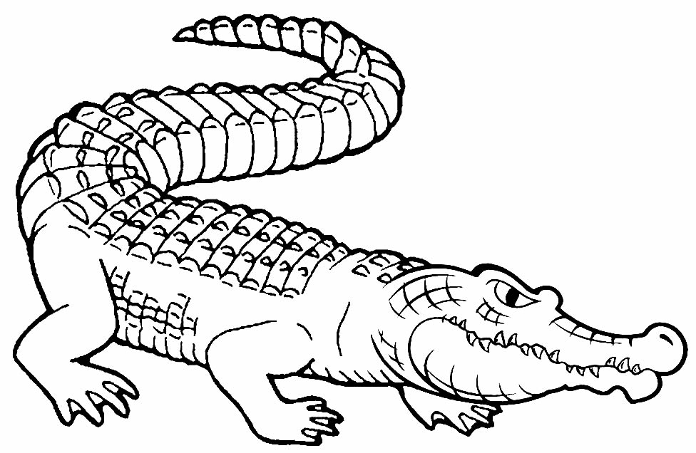 Desenho para colorir