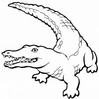 Desenhos para colorir Jacarés