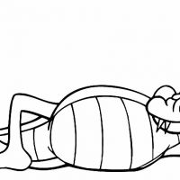 Desenhos para colorir Jacarés