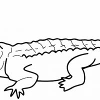 Desenhos para colorir Jacarés