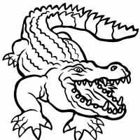 Desenhos para colorir Jacarés
