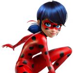 Ladybug
