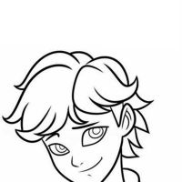 Desenhos para colorir Ladybug