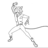 Desenhos para colorir Ladybug