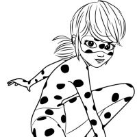 Ladybug
