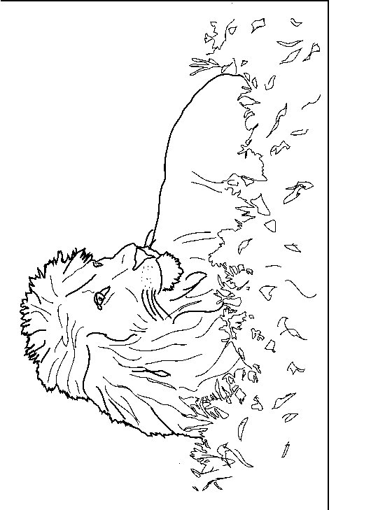 Desenho para imprimir