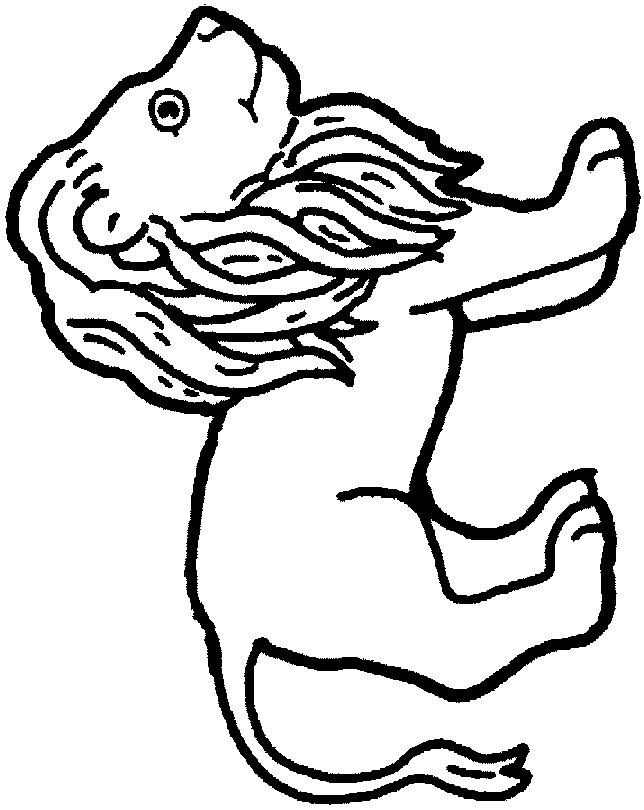 Desenho para colorir
