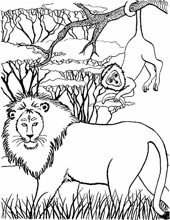 Desenho para colorir