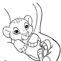 Desenhos para colorir Leões