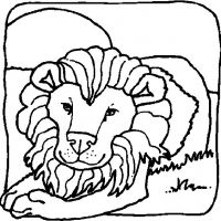 Desenhos para colorir Leões