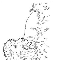 Desenhos para colorir Leões