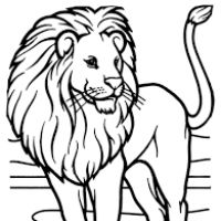 Desenhos para colorir Leões