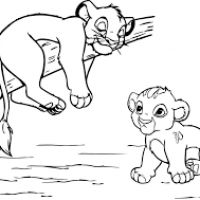 Desenhos para colorir Leões