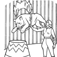 Desenhos para colorir Leões