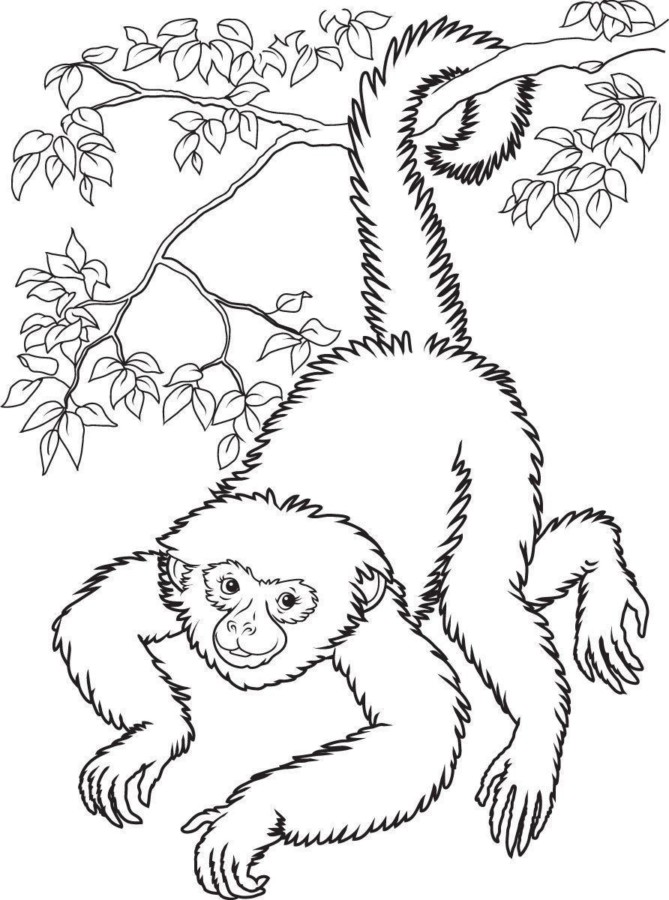 Desenho para colorir