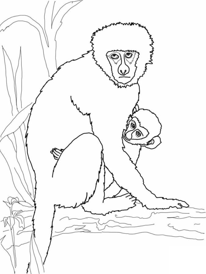 Desenho para imprimir