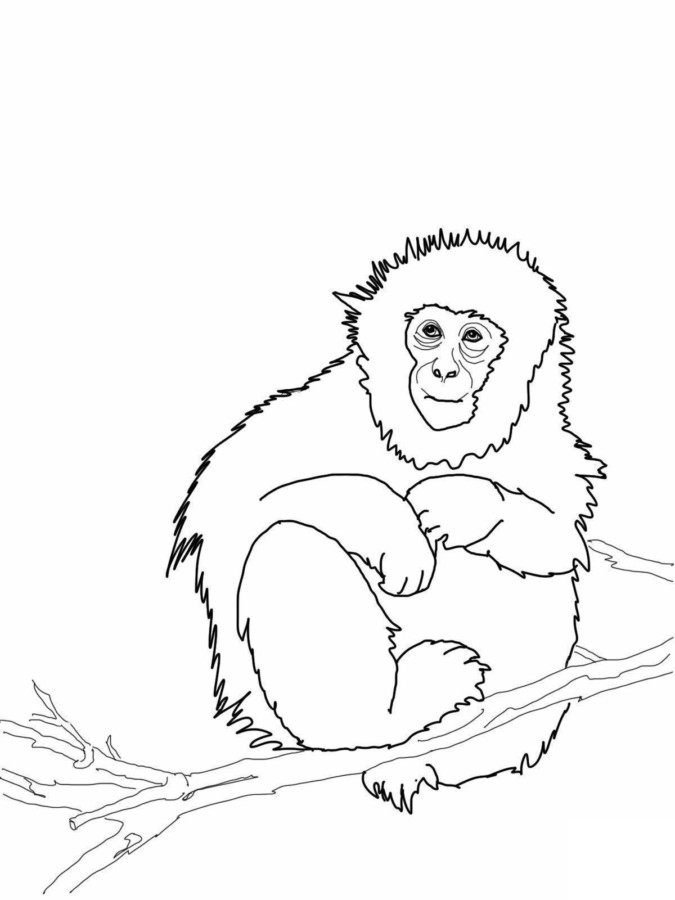 Desenho para colorir