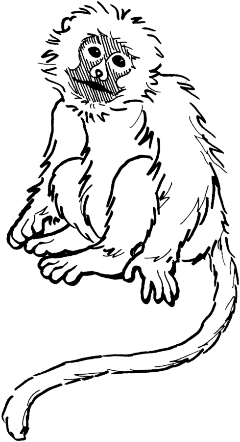 Desenho para colorir