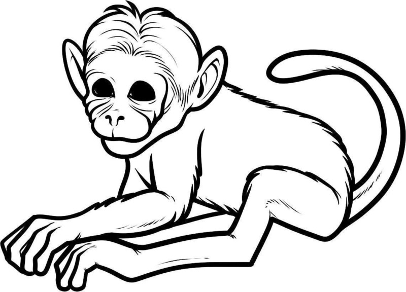 Desenho para imprimir