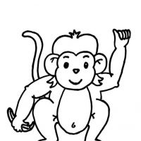 Desenhos para colorir Macacos