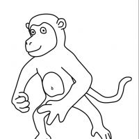 Desenhos para colorir Macacos