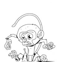 Desenhos para colorir Macacos
