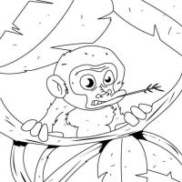 Desenhos para colorir Macacos