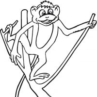Desenhos para colorir Macacos
