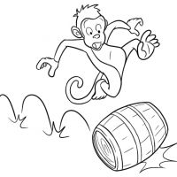 Desenhos para colorir Macacos