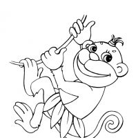 Desenhos para colorir Macacos