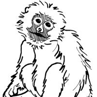 Desenhos para colorir Macacos