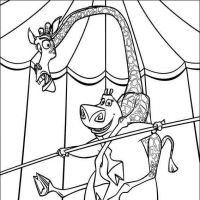 Desenhos para colorir Madagascar