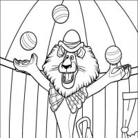 Desenhos para colorir Madagascar